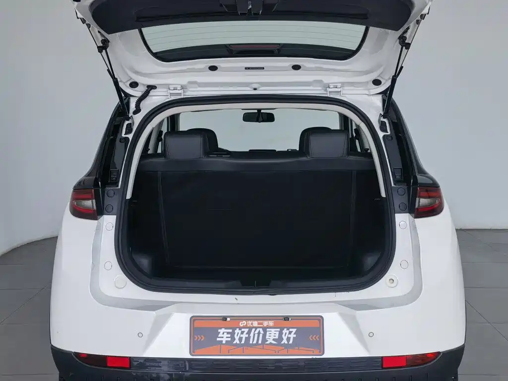Dayun Yuehu 2021 32.85kWh 2WD Elf Edition — фото 16