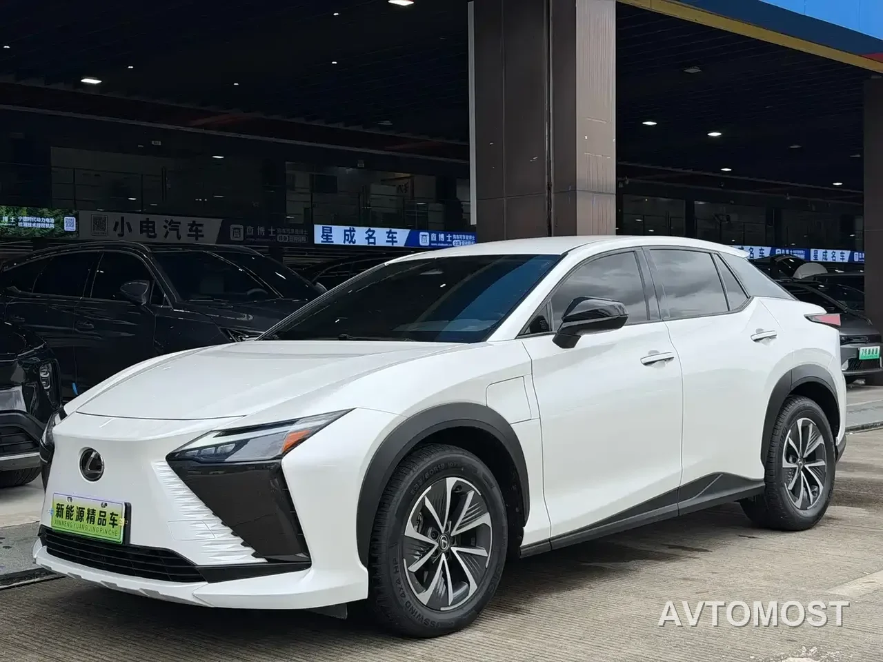 Lexus RZ 2023 450e 4WD Expedition Edition — фото 7