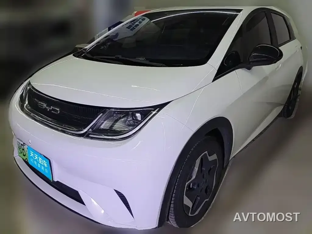 BYD Dolphin 2021 405km Freedom Edition — фото 9
