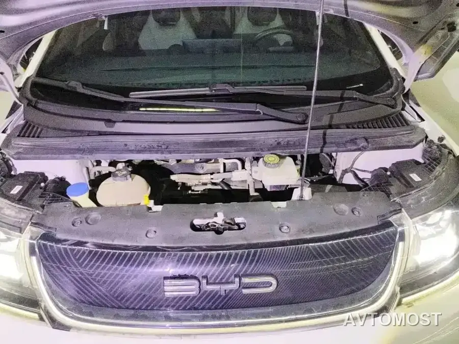 BYD Dolphin 2021 405km Freedom Edition
