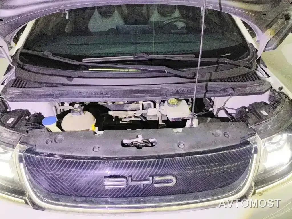 BYD Dolphin 2021 405km Freedom Edition — фото 1