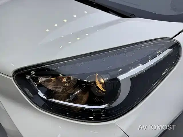 QQ New Energy Little Ant 2021 200K Fans Edition Vitality Version (LFP Battery 301km) — фото 14
