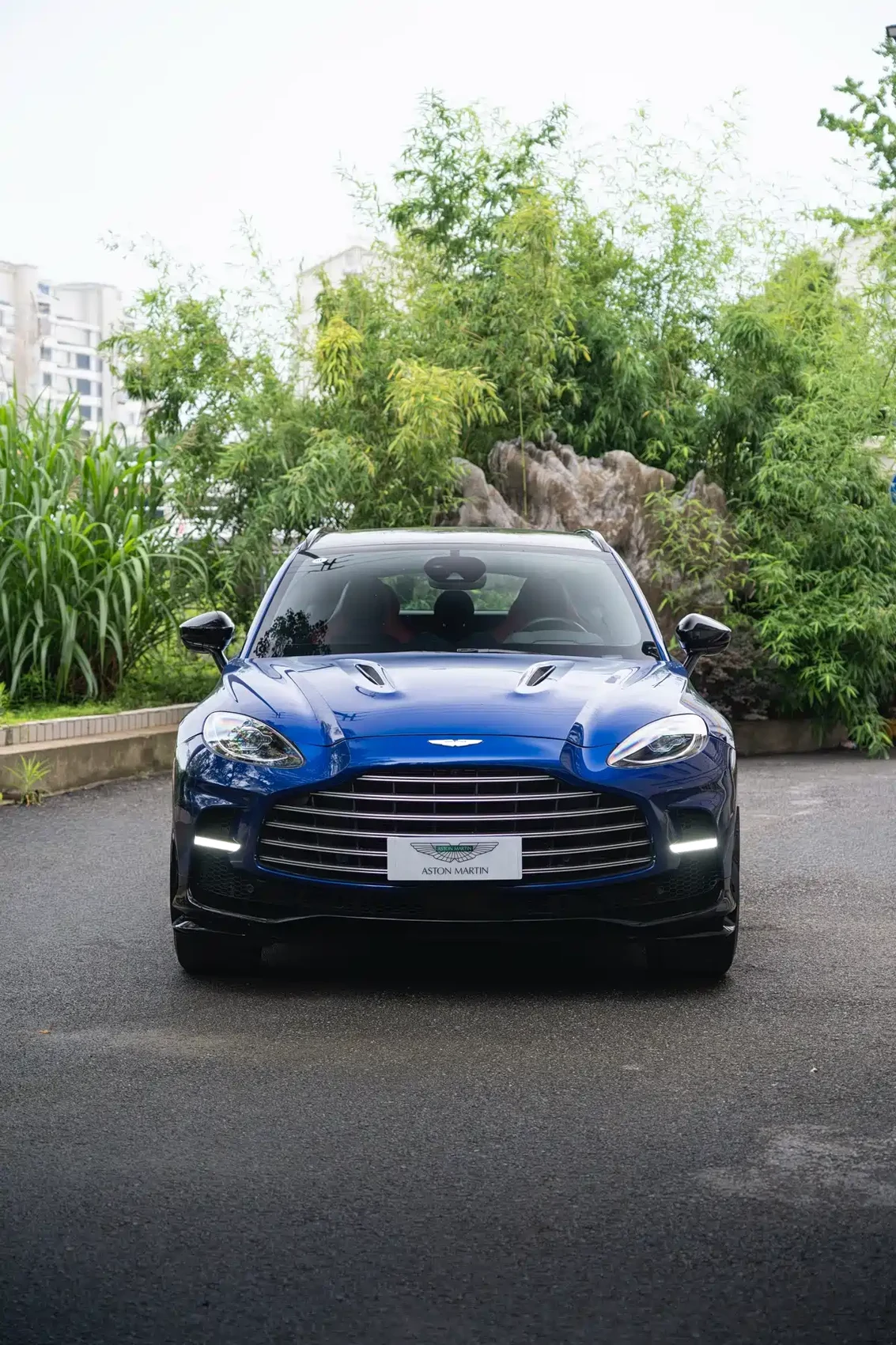 Aston Martin DBX 2023 Model 4.0T V8 707 — фото 2