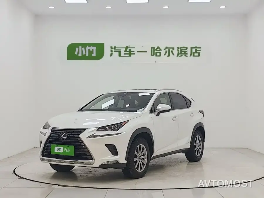 Lexus NX 2020 300h FWD F Sport China VI