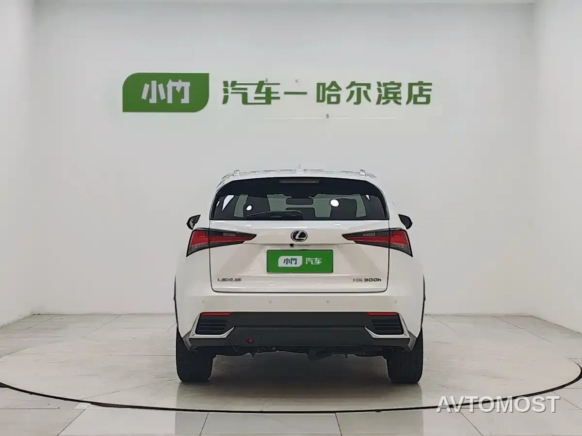 Lexus NX 2020 300h FWD F Sport China VI — фото 6