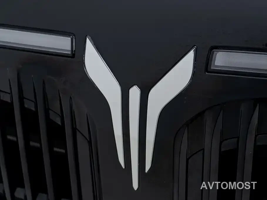 VOYAH Zhuiguang L 2025 Mid-configuration Model — фото 12