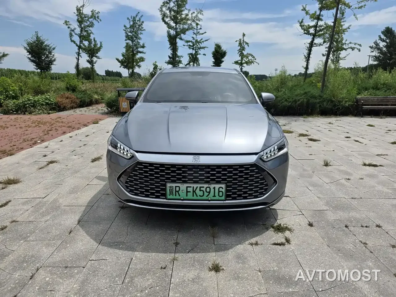 BYD Qin PLUS 2023 Champion Edition DM-i 55KM Leading — фото 2