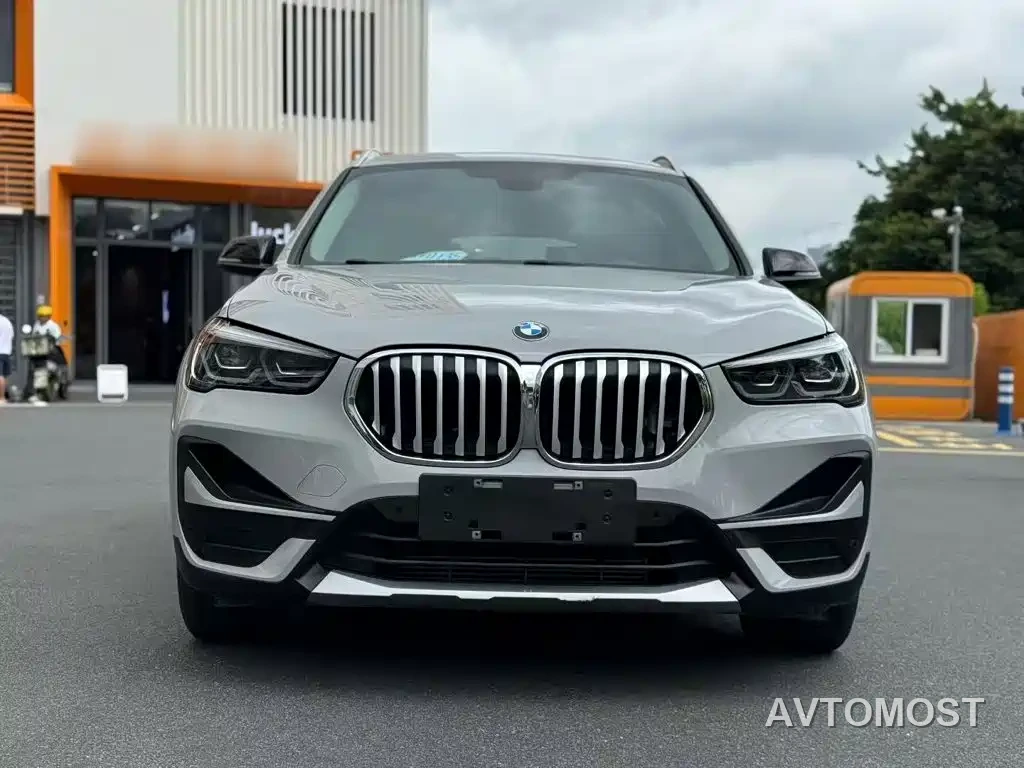 BMW X1 New Energy 2020 xDrive30Le Premium Edition — фото 3