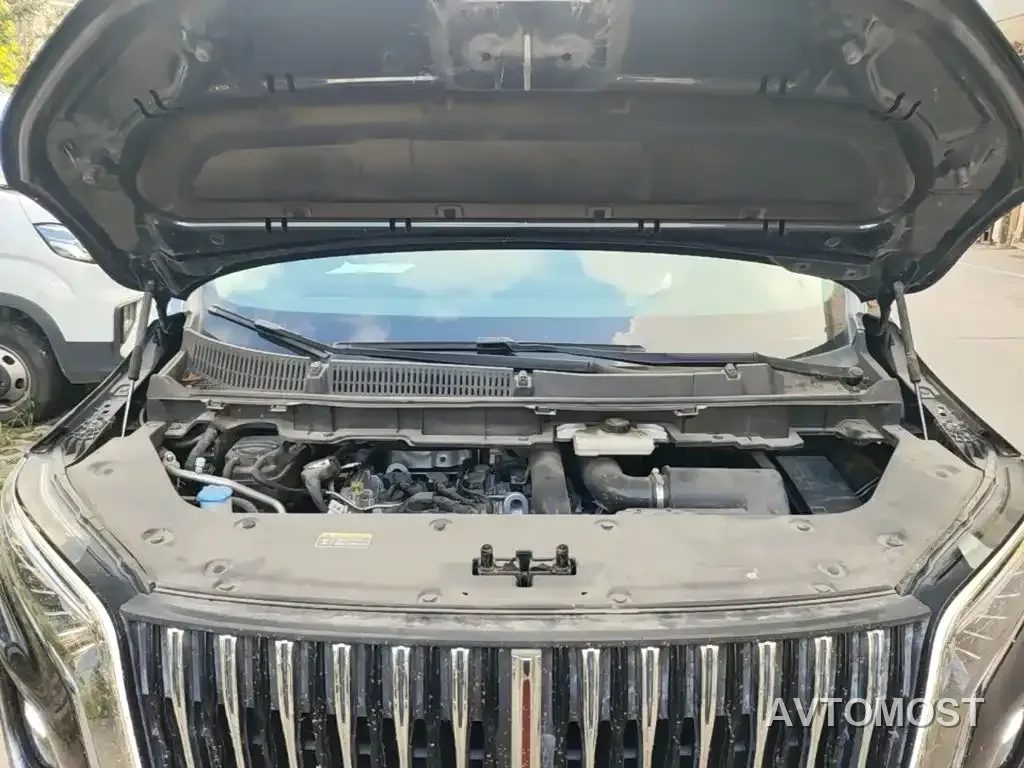 Hongqi HQ9 2023 2.0T Smart Connect Flag Rhyme Edition — фото 17