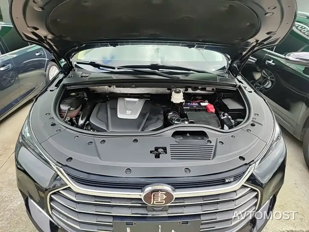 BYD Tang 2019 2.0T Automatic Smart Connect Noble 7-seater China VI — фото 18