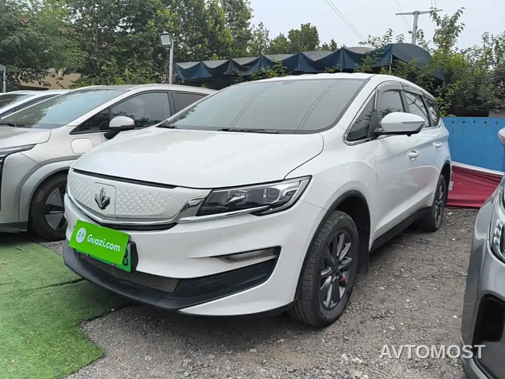 Ruilan Auto Maple 80v 2021 Easy-Ride Version (LFP) — фото 2