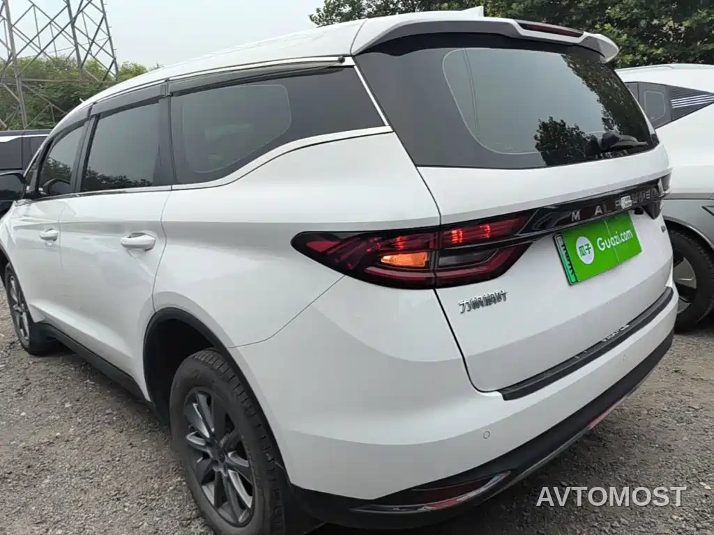 Ruilan Auto Maple 80v 2021 Easy-Ride Version (LFP) — фото 5