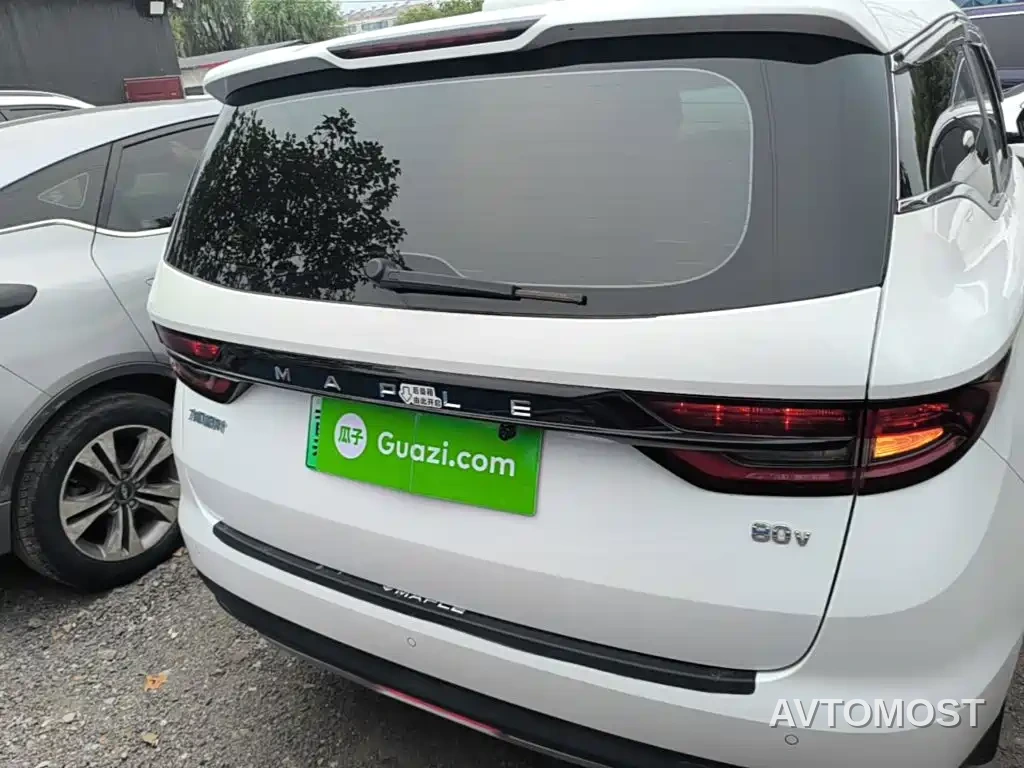 Ruilan Auto Maple 80v 2021 Easy-Ride Version (LFP) — фото 6