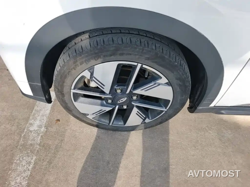Chery Wujie Pro 2022 301km Mythical Beast Edition LFP — фото 21