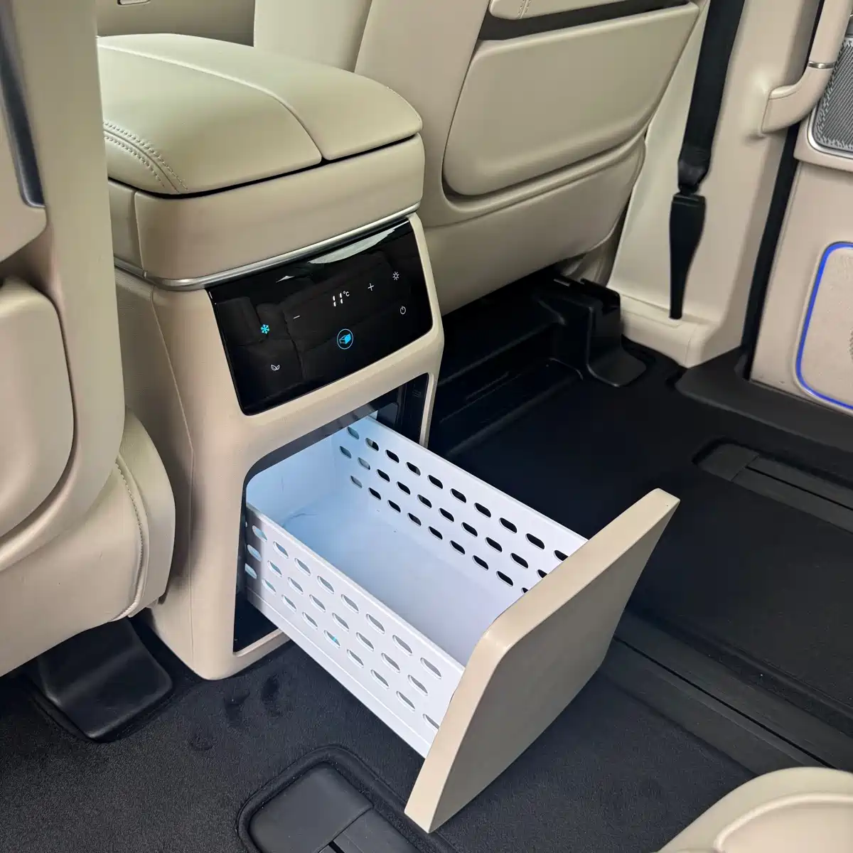 WEY Alpine 2023 AWD Flagship — фото 18