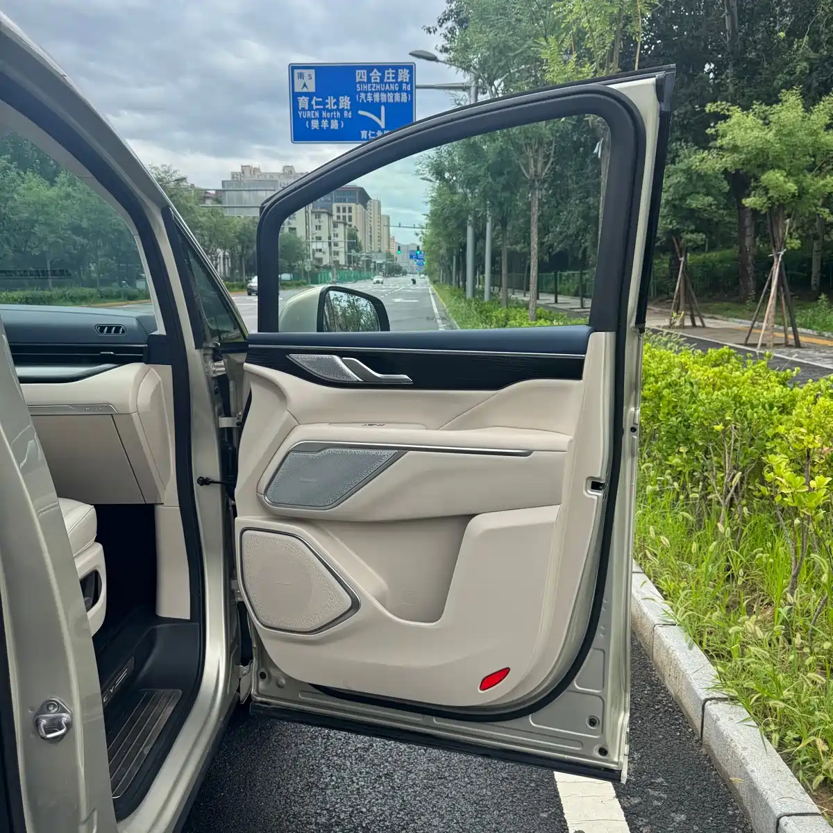 WEY Alpine 2023 AWD Flagship — фото 23