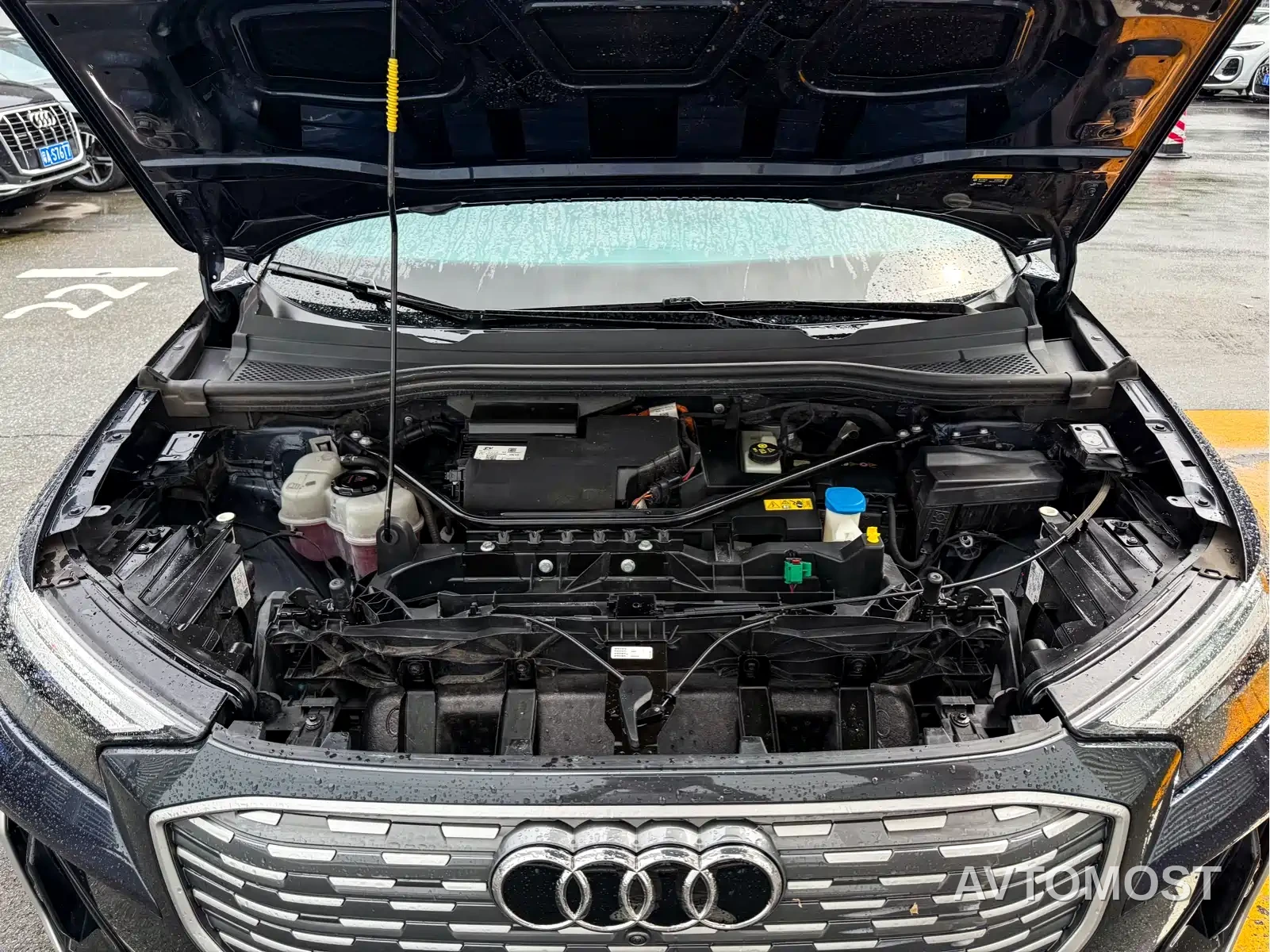 Audi Q4 e-tron 2023 40 e-tron Innovation Edition — фото 4