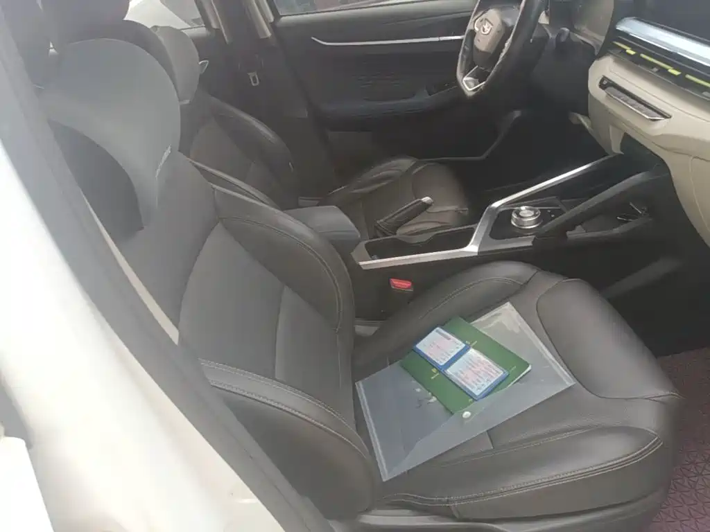 Geely Geometry EX3 Kung Fu Bull 2021 Strong Bull — фото 25
