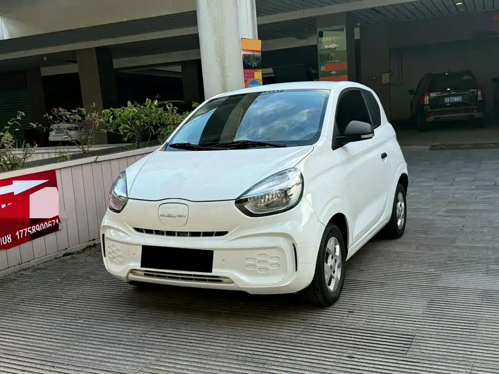 Roewe Kaiwei CLEVER 2021 302km All-round Edition