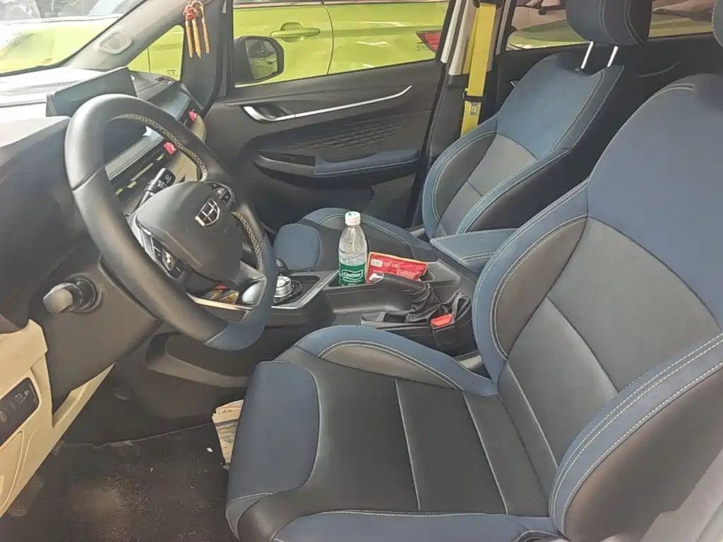Geely Geometry EX3 Kung Fu Bull 2021 Strong Bull — фото 15