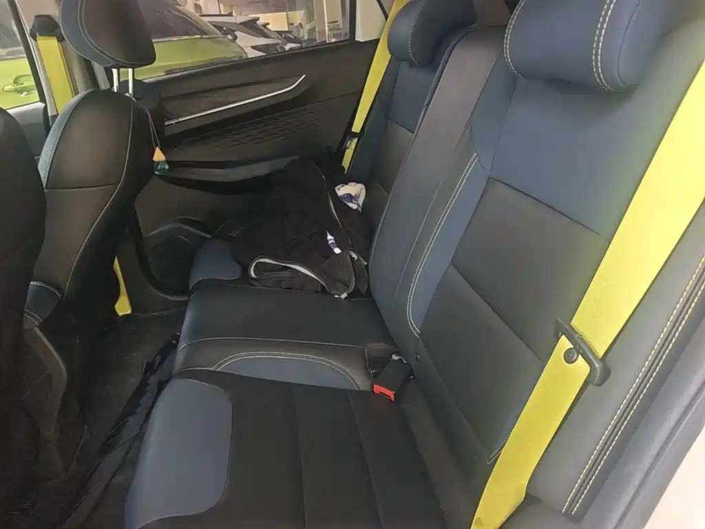 Geely Geometry EX3 Kung Fu Bull 2021 Strong Bull — фото 17