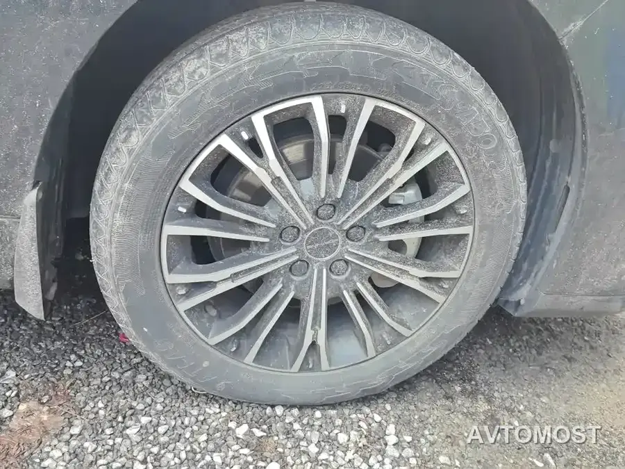 Dongfeng Fengxing Starlight V9 2024 1.5TD 200km Cloud Ladder Series Premium