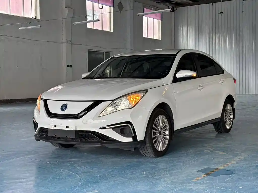 Dongfeng Fengxing S50EV 2021 Operation Model — фото 2