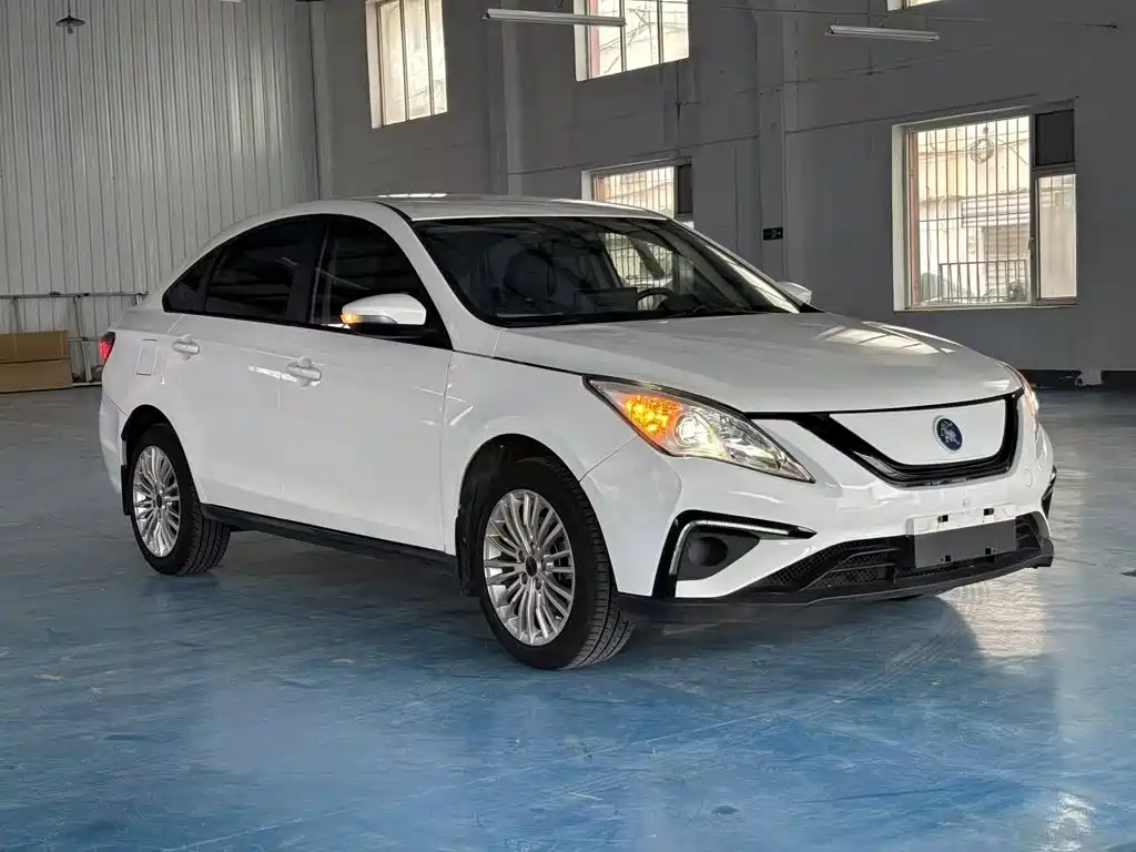 Dongfeng Fengxing S50EV 2021 Operation Model — фото 4