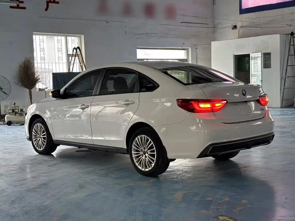 Dongfeng Fengxing S50EV 2021 Operation Model — фото 5