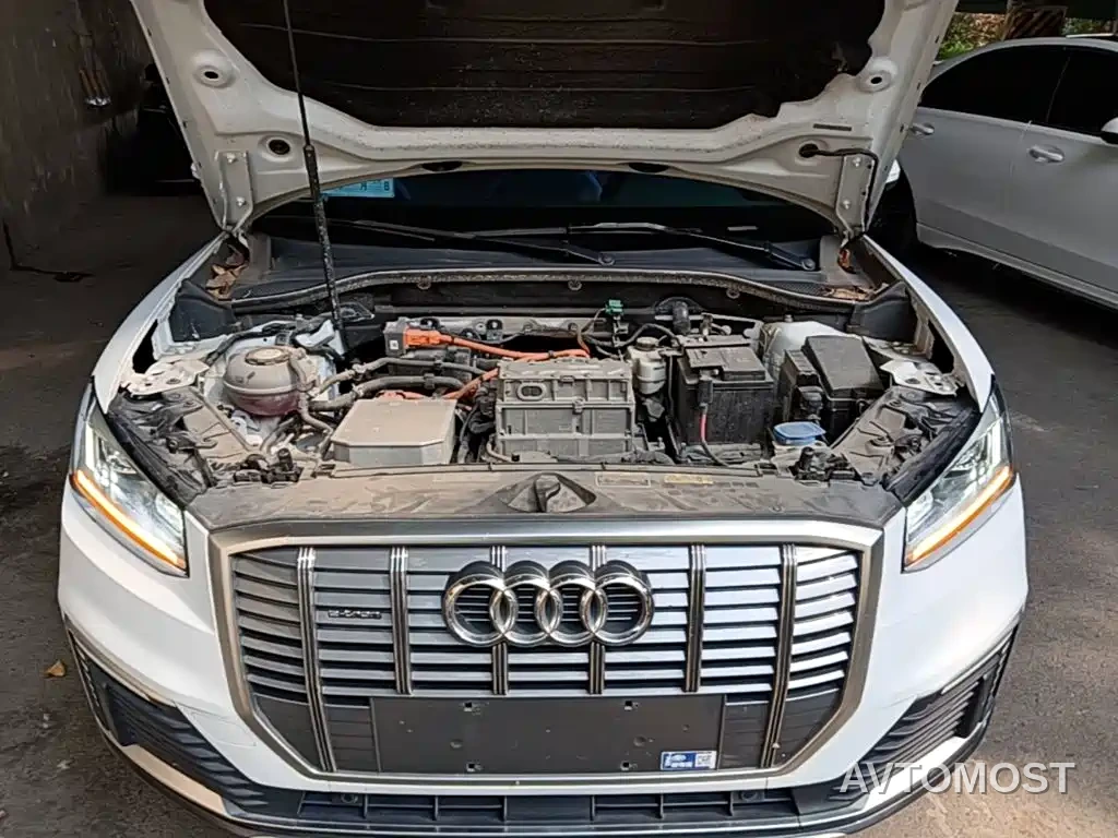 Audi Q2L e-tron 2019 Q2L e-tron Pure Electric Smart Enjoyment — фото 19