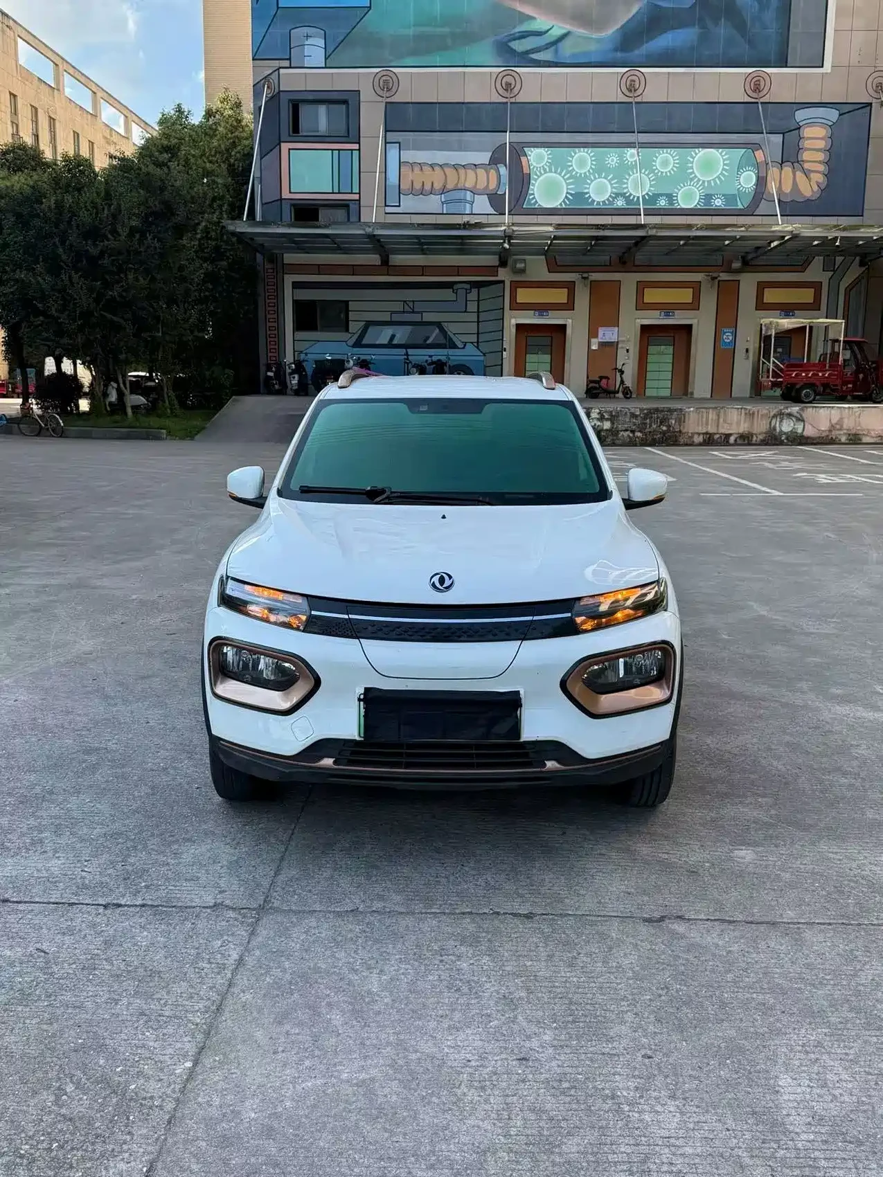 Dongfeng Yipai Nano BOX 2022 Wind Chaser Edition 331KM Advanced Type — фото 2