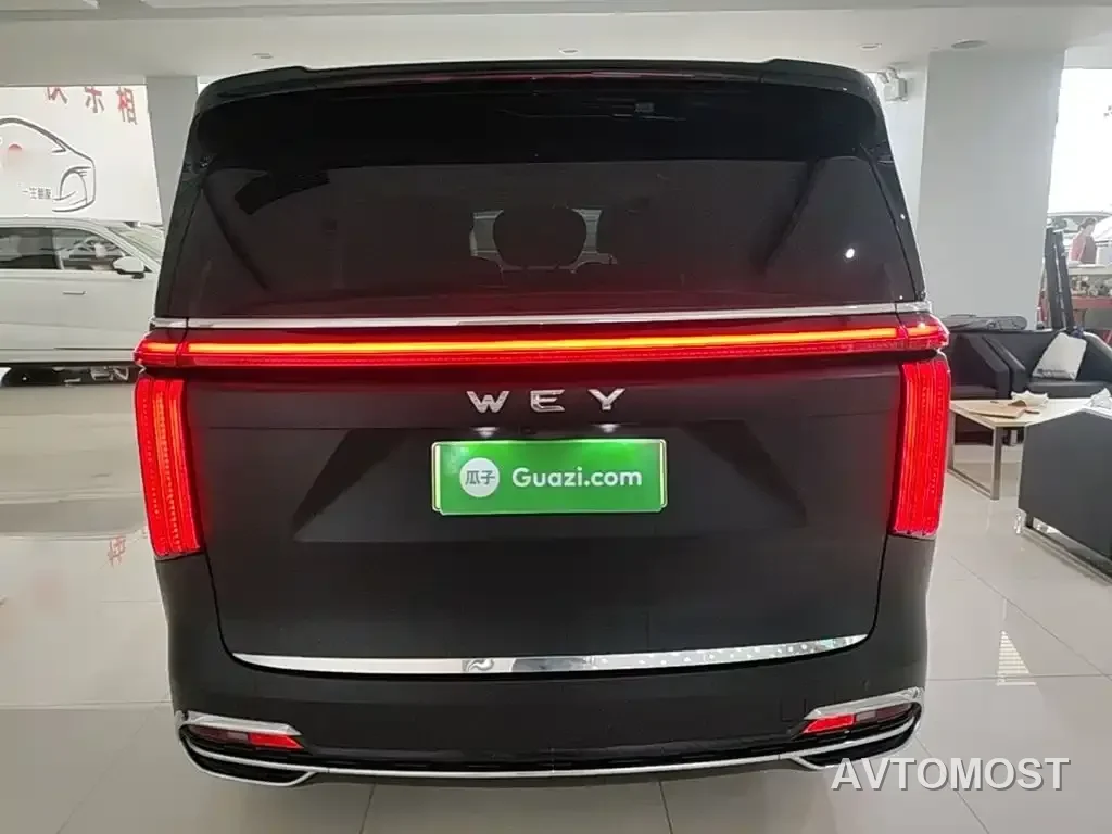 WEY Alpine 2023 AWD Flagship — фото 6