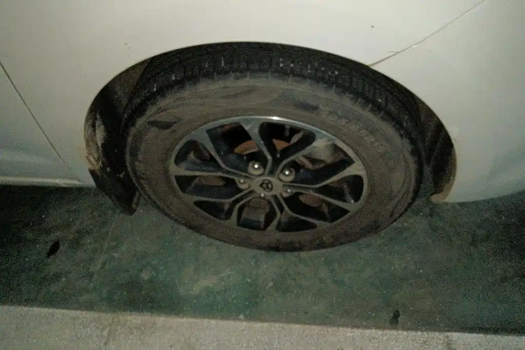 Changan Oshan A600EV 2021 EV — фото 6