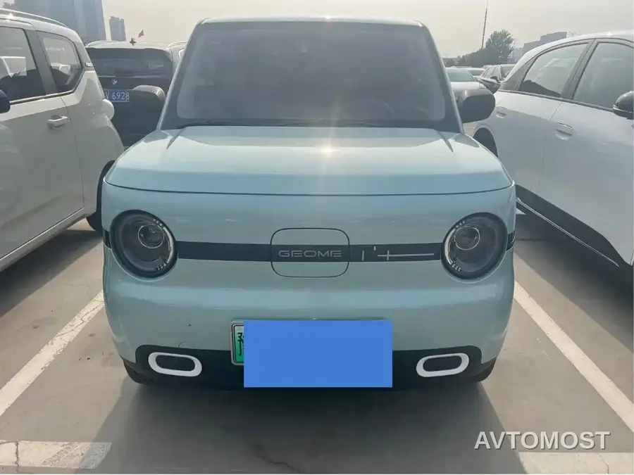 Geely Galaxy Panda 2025 Panda mini 210km Vitality Bear
