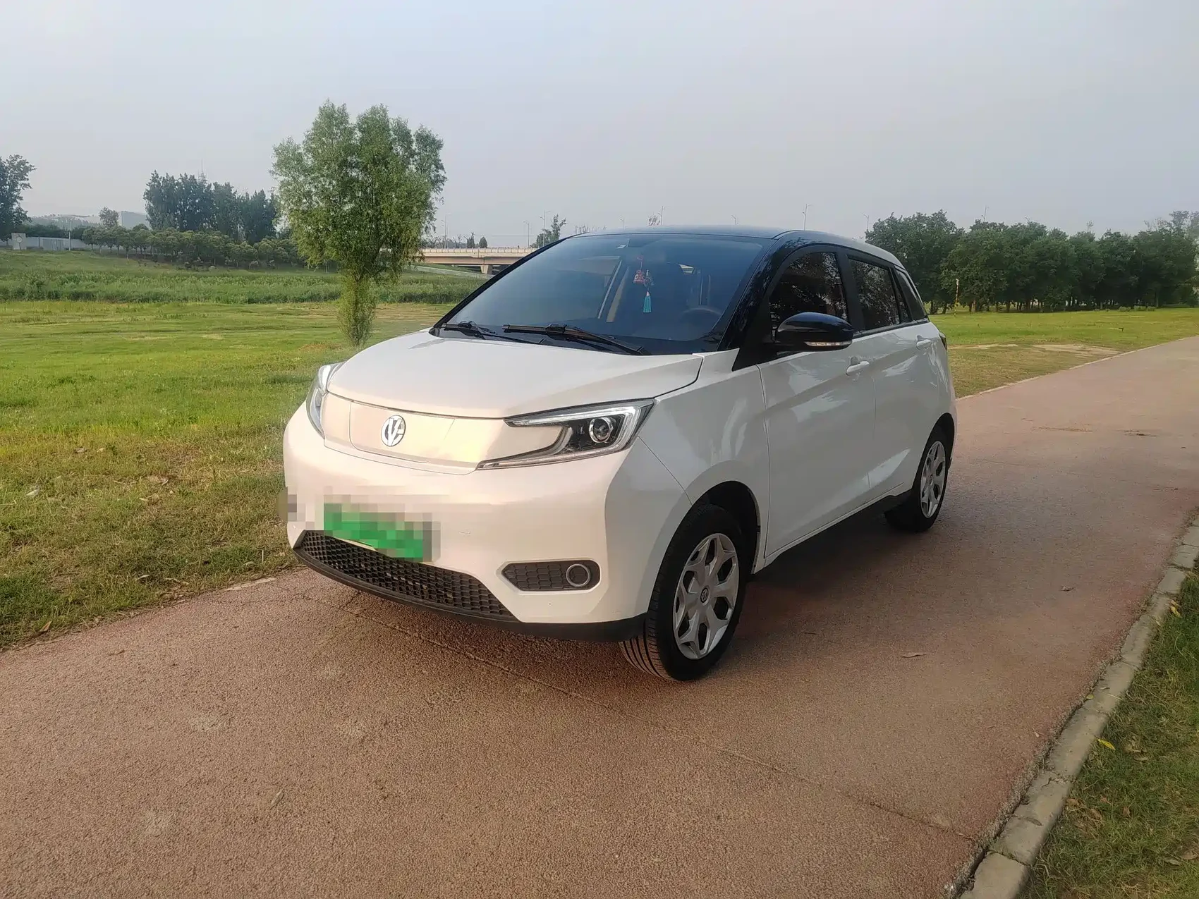 Electric House YOUNG Guang Xiaoxin 2021 S400 4-Seater