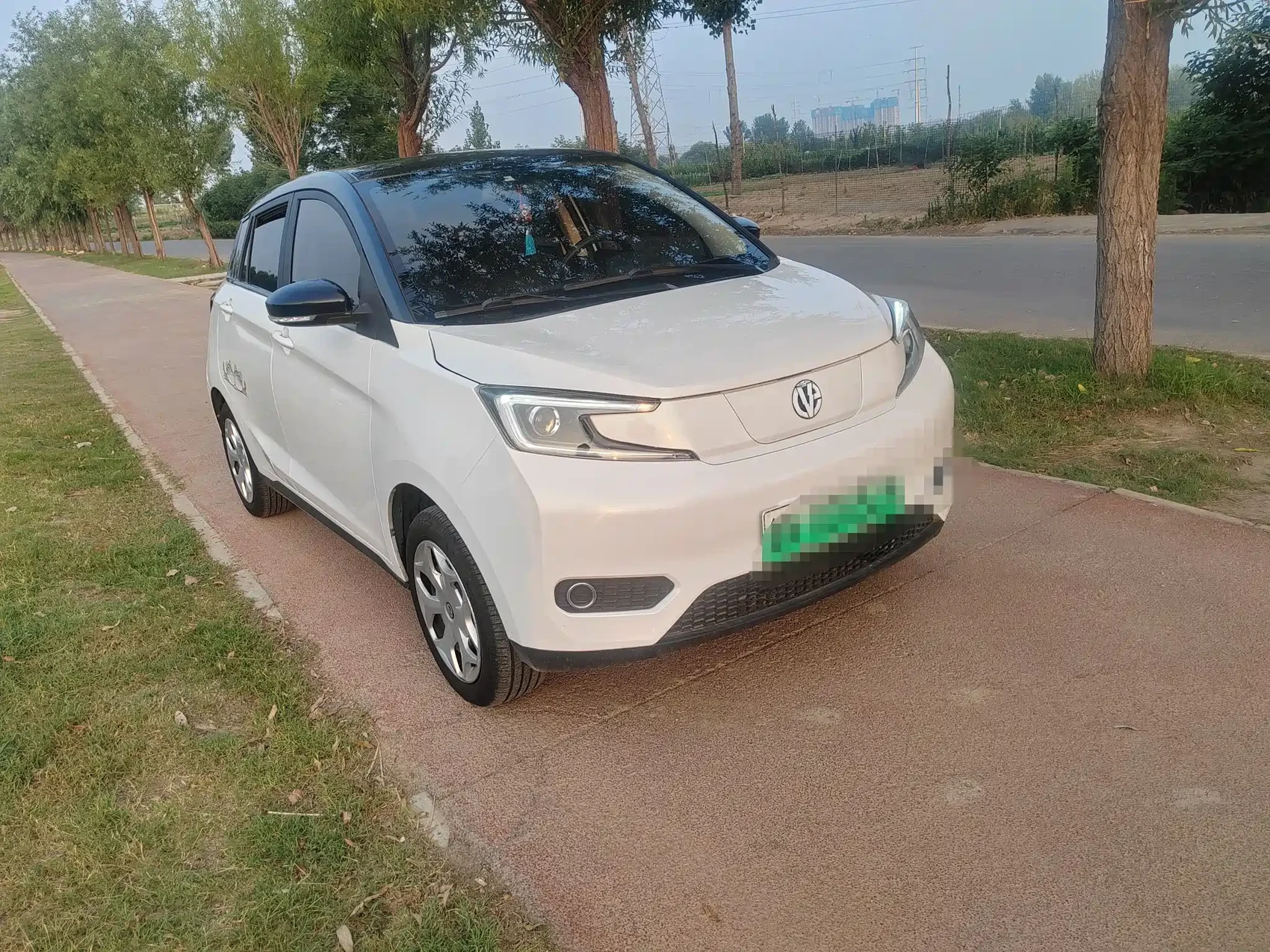 Electric House YOUNG Guang Xiaoxin 2021 S400 4-Seater — фото 2
