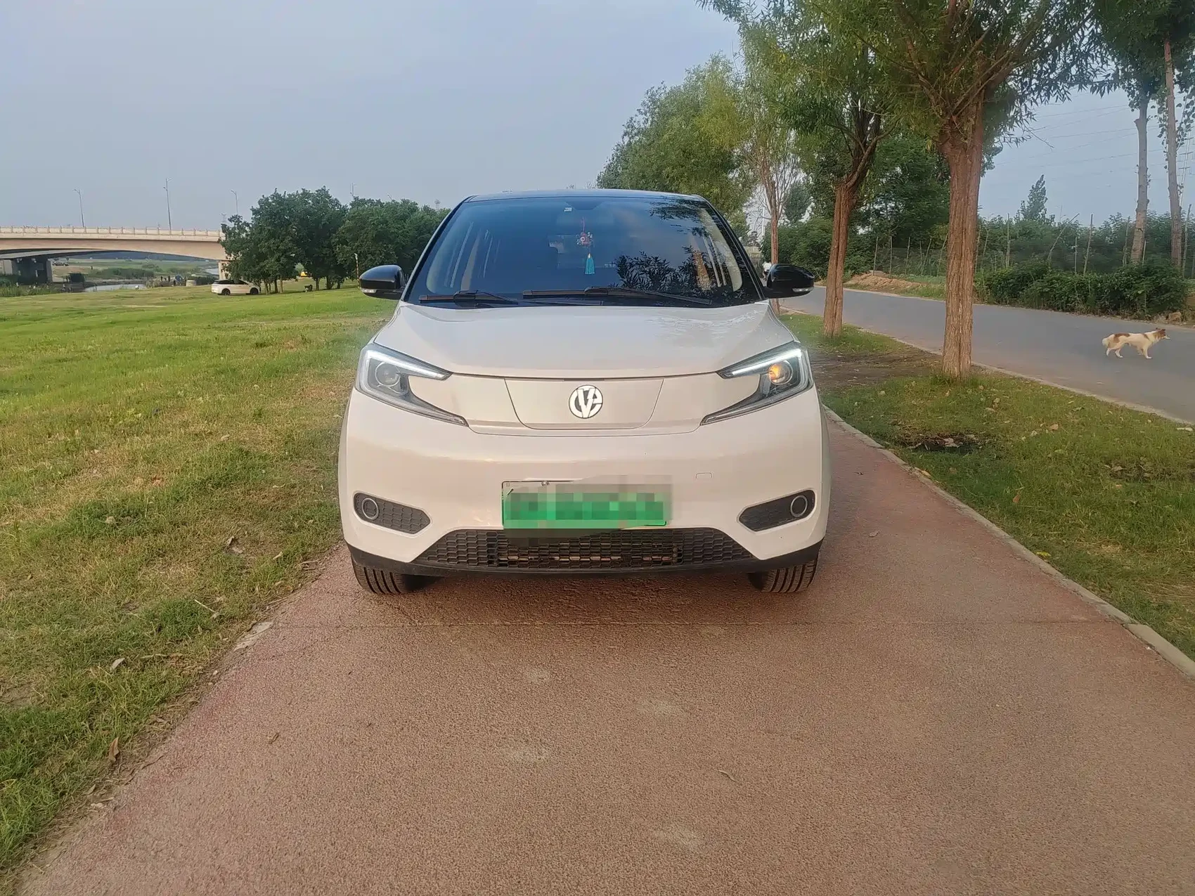 Electric House YOUNG Guang Xiaoxin 2021 S400 4-Seater — фото 3