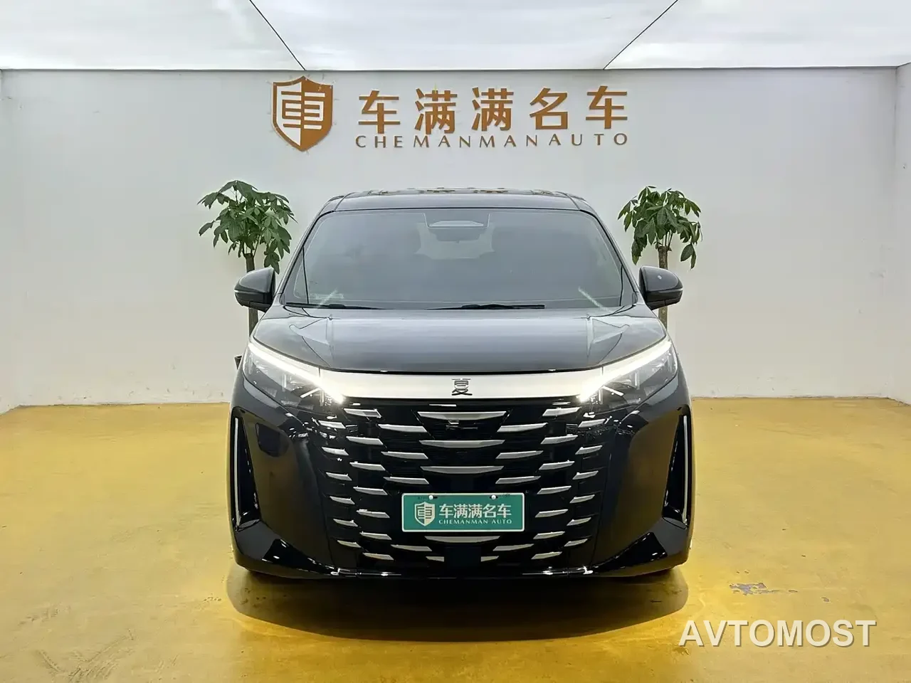 BYD Xia 2025 DM-i 1.5T 100km Surpass Edition — фото 2