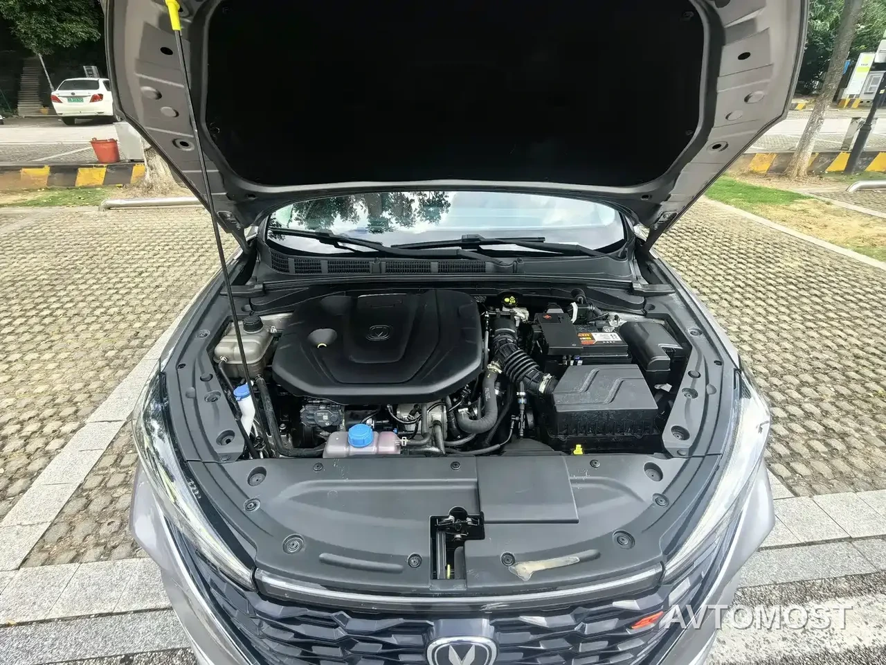 Changan Eado 2022 PLUS Blue Whale NE 1.4T GDI DCT Premium Edition — фото 16