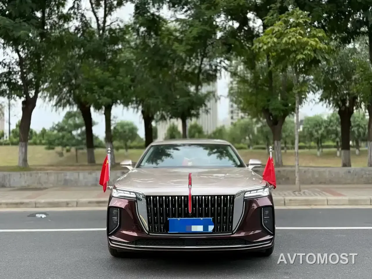 Hongqi H9 2025 2.0T 2WD Qixiang Luxury Business Edition 5-seater — фото 8