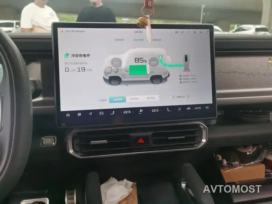 Jetour Shanhai T2 2024 C-DM 129KM Forest Edition — фото 10