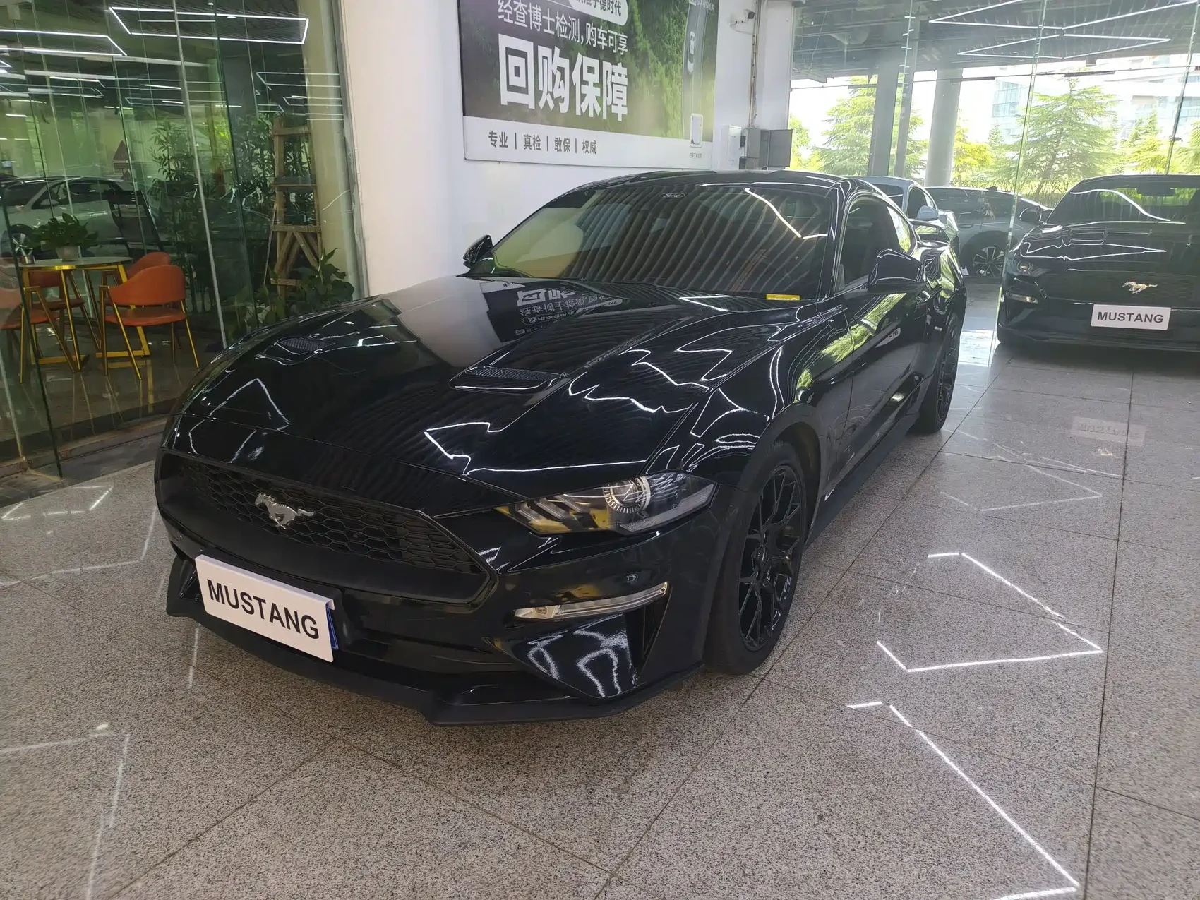 Ford Mustang 2021 2.3T EcoBoost Shadow Performance Advanced Edition