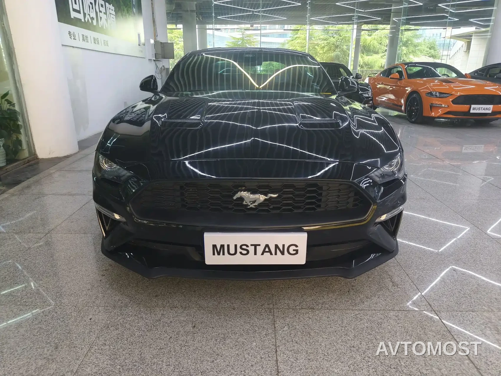 Ford Mustang 2021 2.3T EcoBoost Shadow Performance Advanced Edition — фото 2