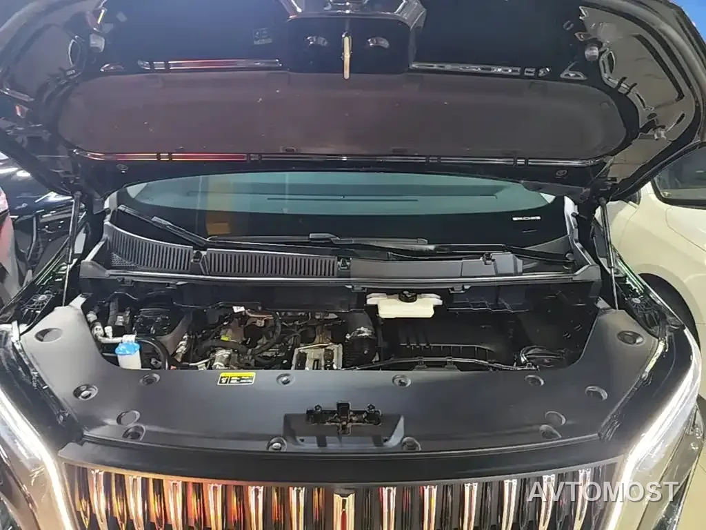 Hongqi HQ9 PHEV 2024 Model 2.0T AWD Business Edition — фото 19