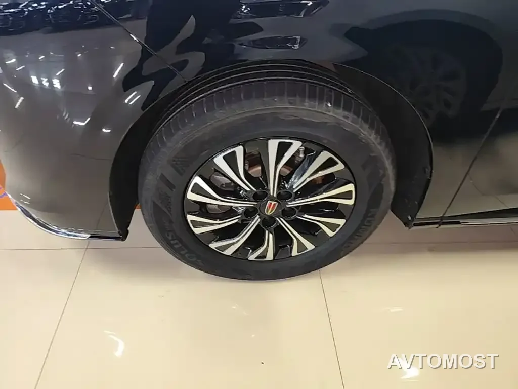 Hongqi HQ9 PHEV 2024 Model 2.0T AWD Business Edition — фото 25