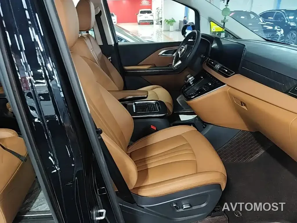 Hongqi HQ9 PHEV 2024 Model 2.0T AWD Business Edition — фото 23