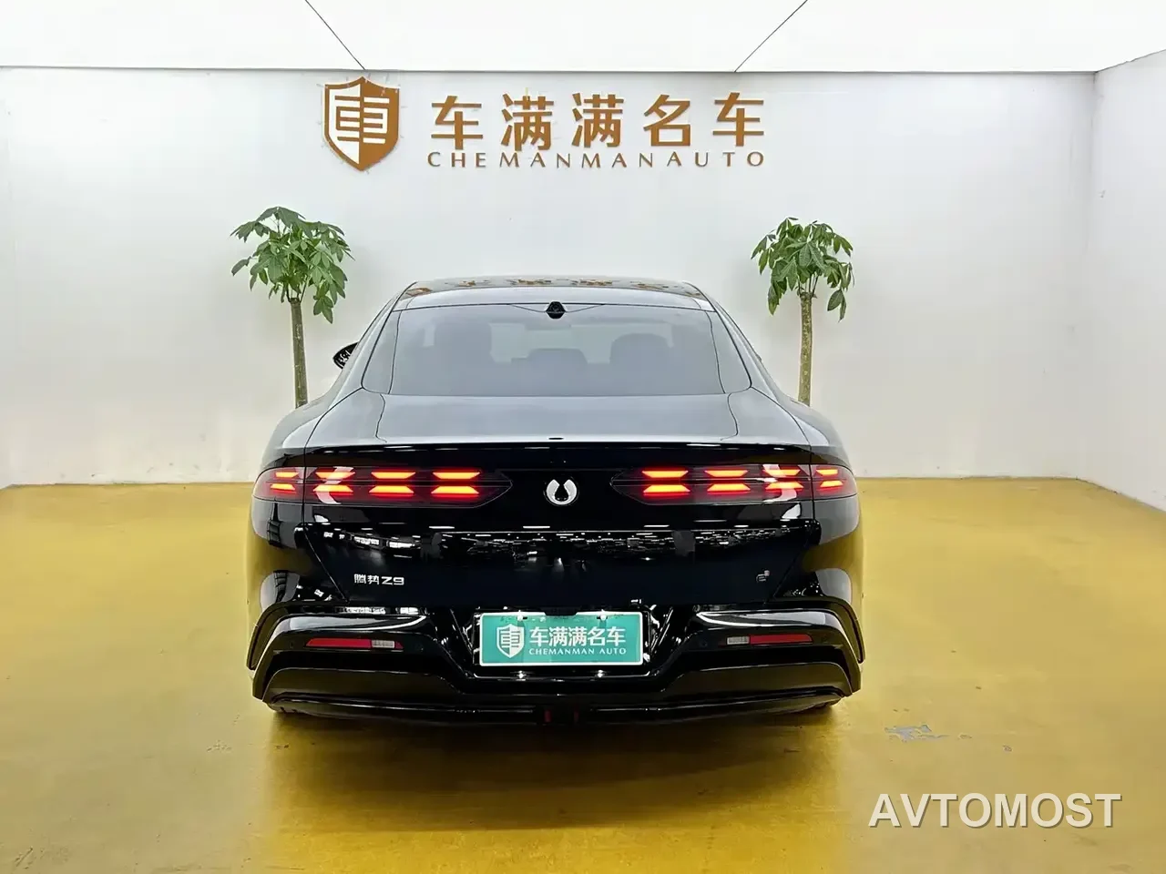 Denza Z9 2024 Model 1100km AWD Max Edition — фото 9