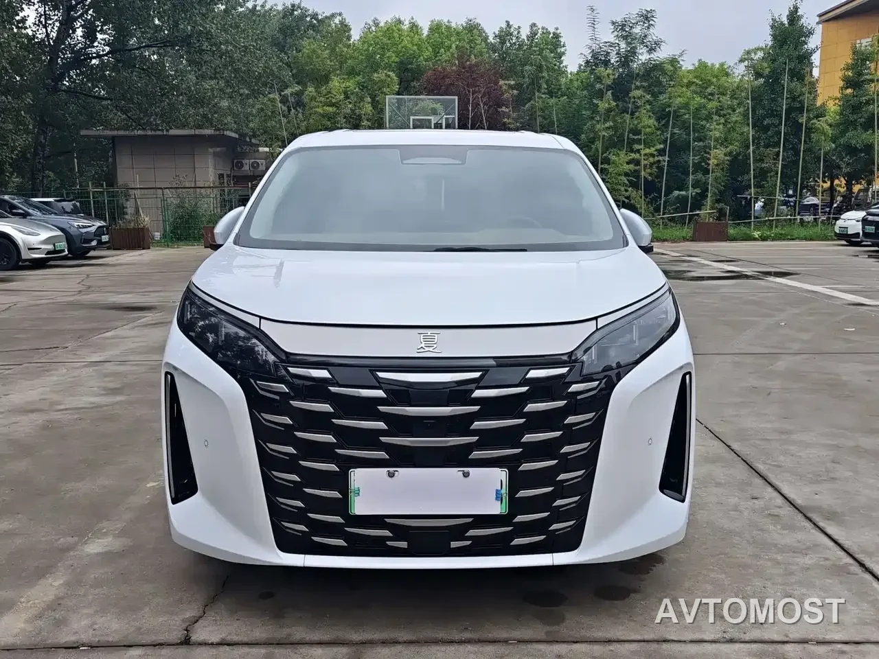 BYD Xia 2025 DM-i 1.5T 100km Surpass Edition — фото 2