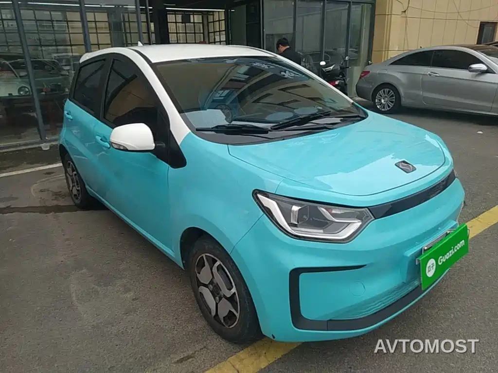 Sehol Flower Fairy 2021 Jimei Edition 302km Luxury — фото 4