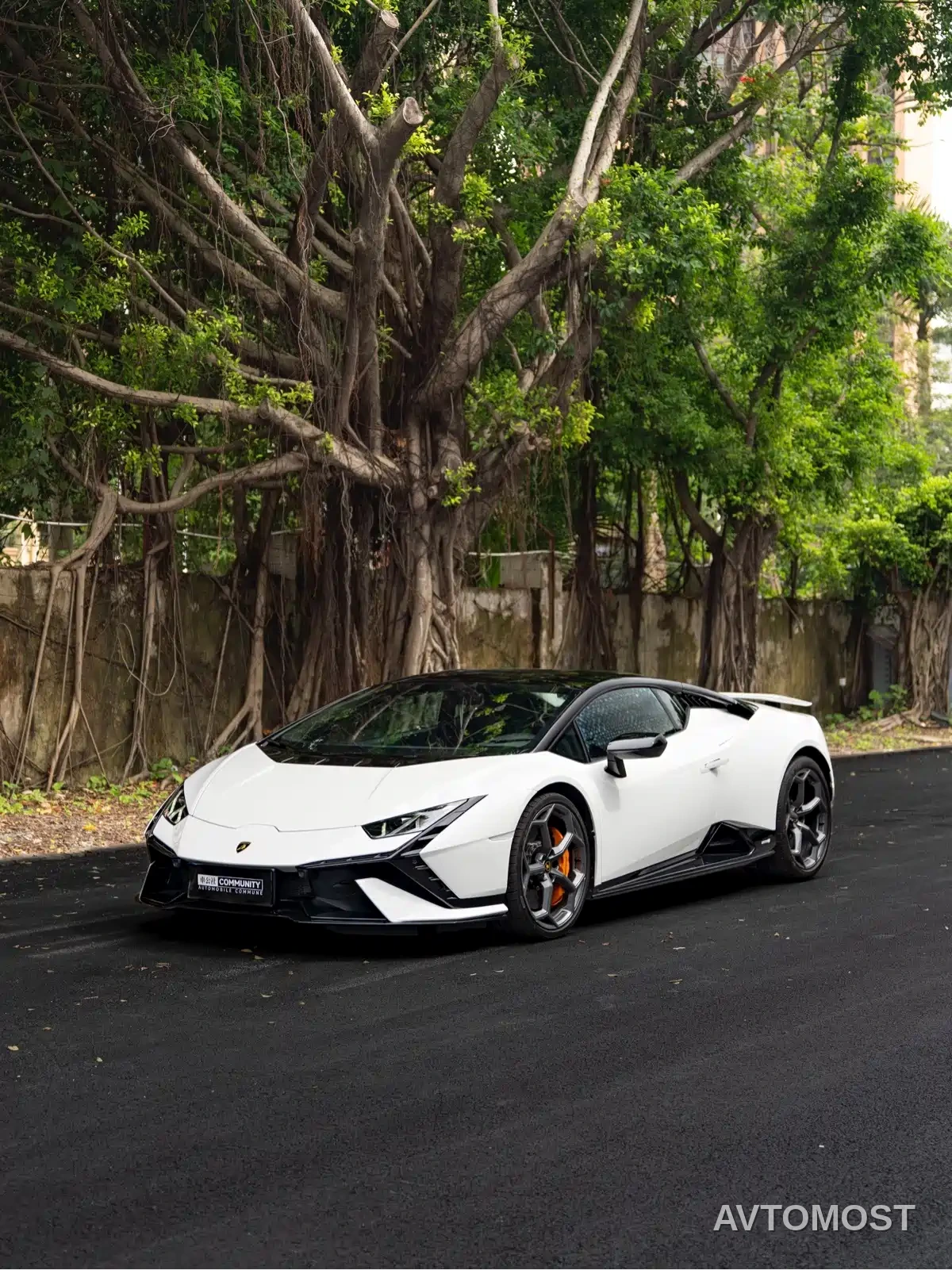 Lamborghini Huracán 2023 Huracán Tecnica — фото 1